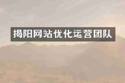 揭阳网站优化运营团队