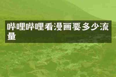 哔哩哔哩看漫画要多少流量