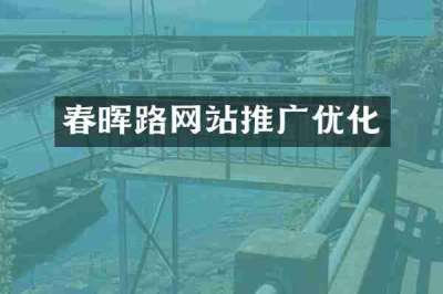 春晖路网站推广优化
