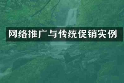 网络推广与传统促销实例