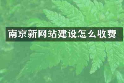 南京新网站建设怎么收费