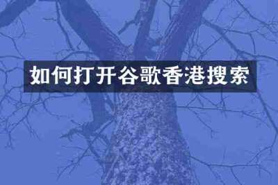 如何打开谷歌香港搜索