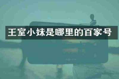 王室小妹是哪里的百家号