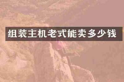 组装主机老式能卖多少钱