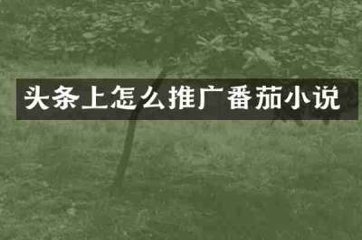 头条上怎么推广番茄小说