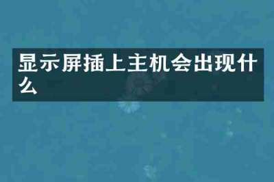 显示屏插上主机会出现什么