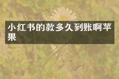 小红书的款多久到账啊苹果