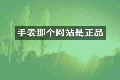手表那个网站是正品