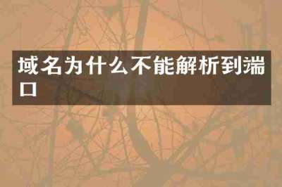 域名为什么不能解析到端口