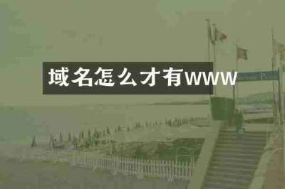 域名怎么才有www