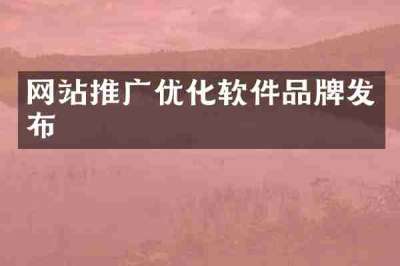 网站推广优化软件品牌发布