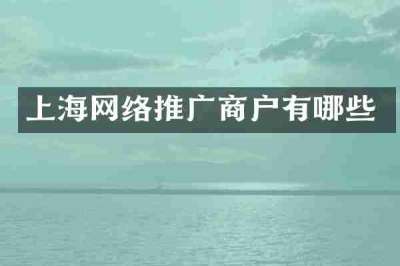 上海网络推广商户有哪些