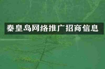 秦皇岛网络推广招商信息
