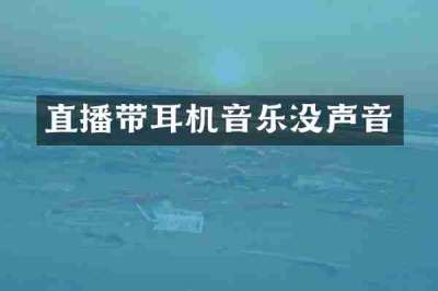 直播带耳机音乐没声音