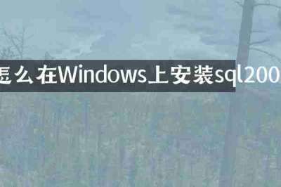 怎么在Windows上安装sql2008
