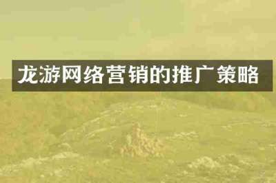 龙游网络营销的推广策略