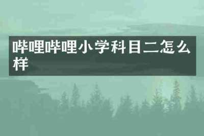 哔哩哔哩小学科目二怎么样