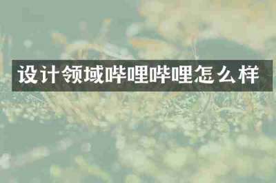 设计领域哔哩哔哩怎么样