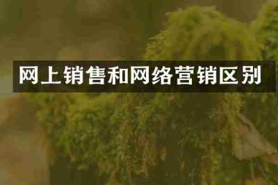 网上销售和网络营销区别
