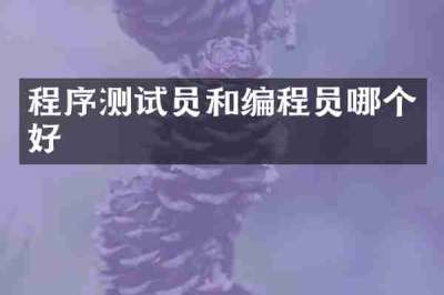 程序测试员和编程员哪个好