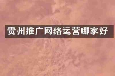 贵州推广网络运营哪家好