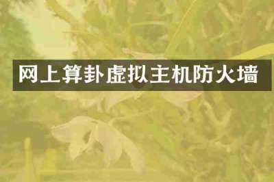 网上算卦虚拟主机防火墙