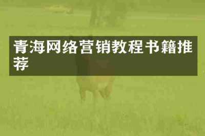 青海网络营销教程书籍推荐