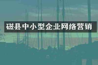 磁县中小型企业网络营销
