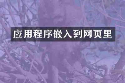 应用程序嵌入到网页里