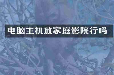 电脑主机放家庭影院行吗