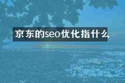 京东的seo优化指什么