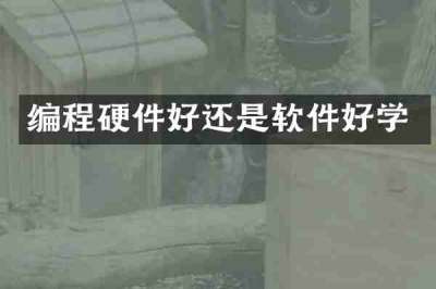 编程硬件好还是软件好学
