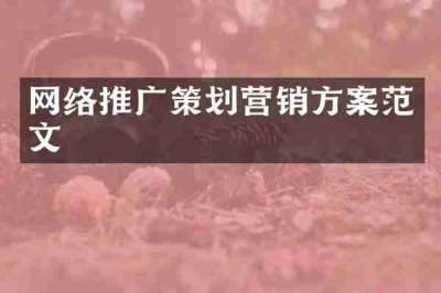 网络推广策划营销方案范文