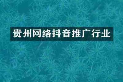 贵州网络抖音推广行业