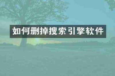 如何删掉搜索引擎软件