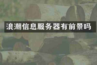 浪潮信息服务器有前景吗