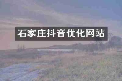 石家庄抖音优化网站