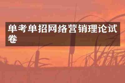 单考单招网络营销理论试卷