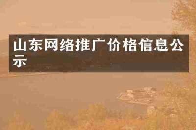 山东网络推广价格信息公示