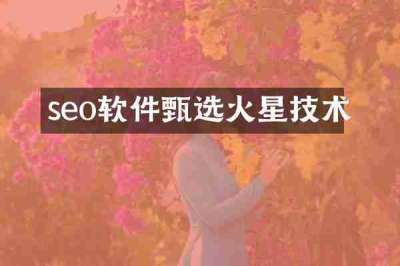 seo软件甄选火星技术