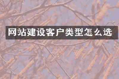 网站建设客户类型怎么选