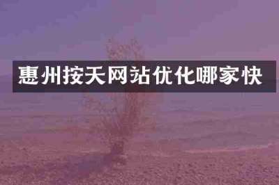 惠州按天网站优化哪家快