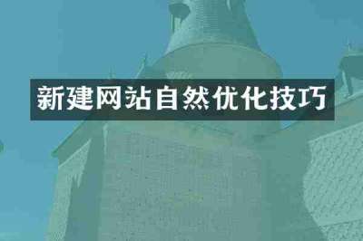新建网站自然优化技巧
