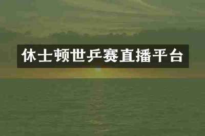 休士顿世乒赛直播平台