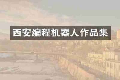 西安编程机器人作品集