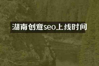 湖南创意seo上线时间