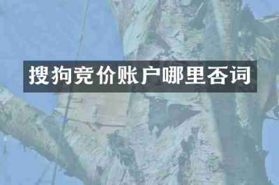 搜狗竞价账户哪里否词