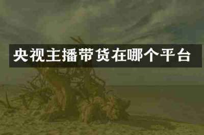 央视主播带货在哪个平台