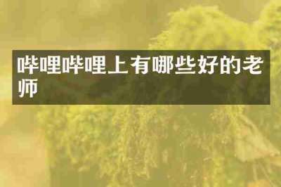 哔哩哔哩上有哪些好的老师