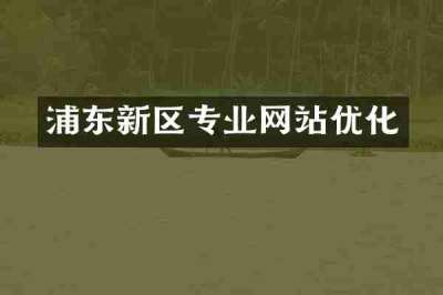 浦东新区专业网站优化